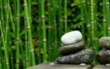 庭院風(fēng)水竹的運(yùn)用