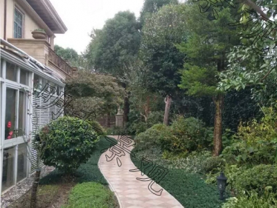 蘭庭國際
