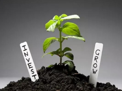 在植物生長過程中扮演著極為重要的角色是“TA”
