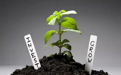 在植物生長過程中扮演著極為重要的角色是“TA”